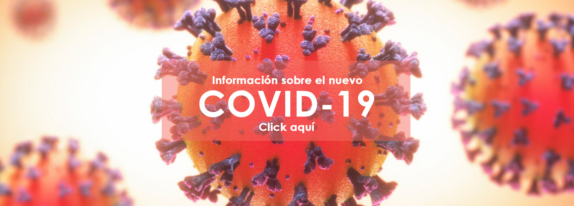 Inicio